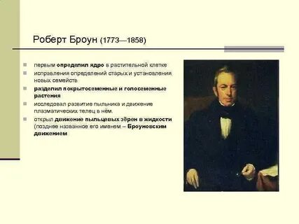 Р броун открытие