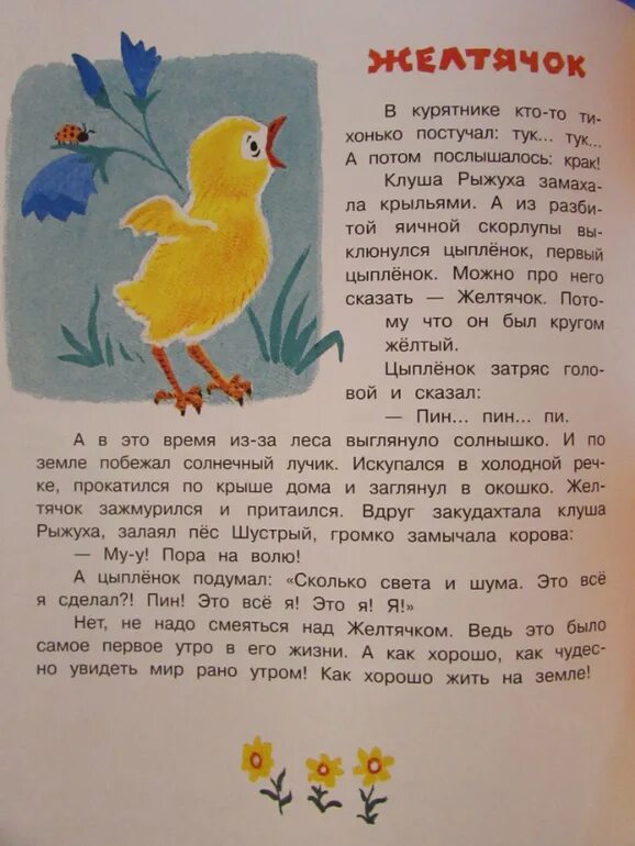 Г балл желтячок текст. Сказка цыпленок чуковский. Г балл желтячок текст. Иллюстрации к рассказу балла желтячок. Ушинский к детям читаем по слогам.