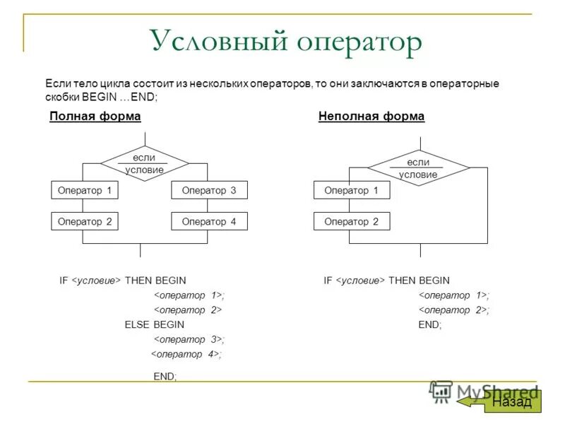 Большие циклы состоят из