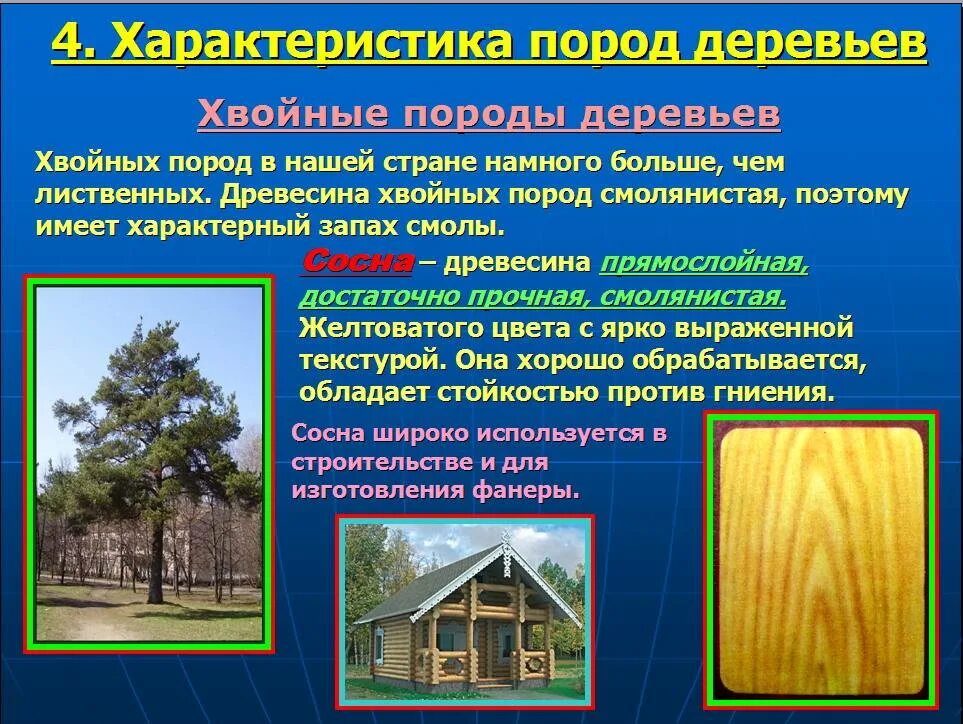 Из каких деревьев строят
