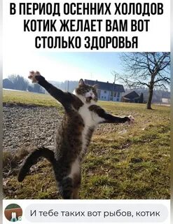 Ну кто же кончился не