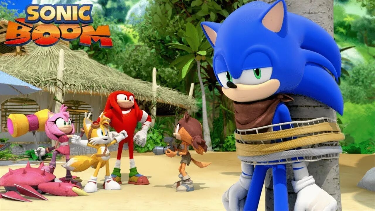 Сонник старый друг. Соник бум. Соник бум Sonic Boom 2014.