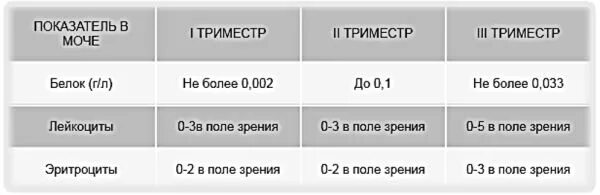 Белок в моче 3 триместр норма