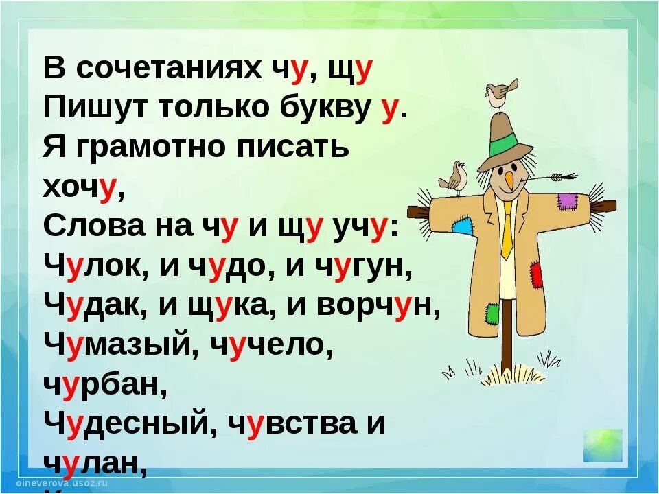 Текст в котором встречаются все буквы. Правило Чу ЩУ. Правописание Чу ЩУ. Сочетания Чу ЩУ. Слова с Чу ЩУ.