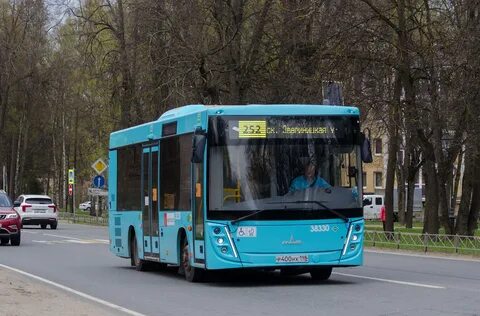 205 автобус спб