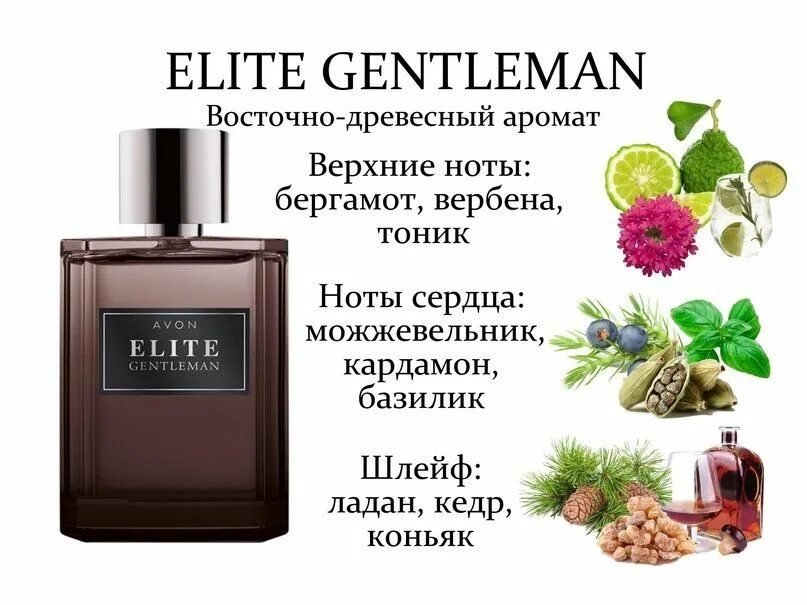 Avon elite. Туалетная вода Элит джентльмен эйвон. Эйвон мужская туалетная вода Elite Gentleman. Туалетная вода Элит джентльмен эйвон мужская. Мужские ароматы Avon Elite.