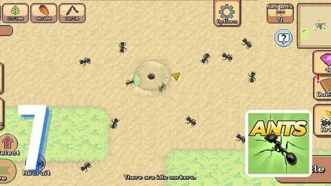 Игра pocket ants