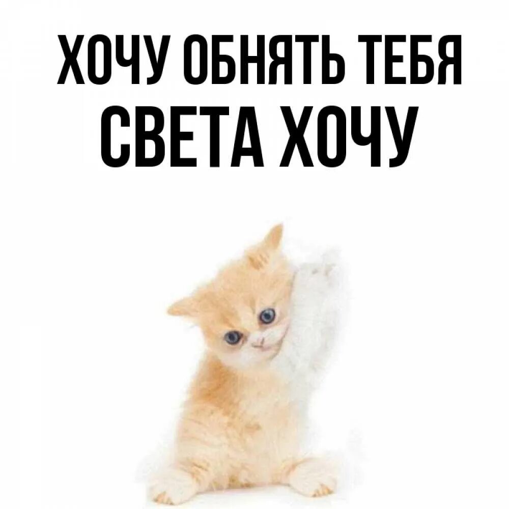 Стикеры про свету. Света я хочу тебе сказать. Наргиз я тебя люблю. Света я хочу тебе сказать. Шутки про свету.