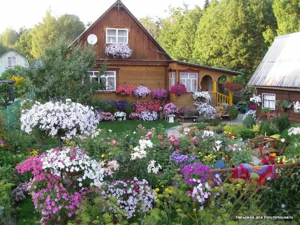 Дача люблю цветы. Сад на даче. Дача сад огород. Огород на даче. Цветы на даче.