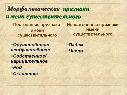 Что такое морфологические признаки прилагательного