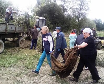 Погода в детчино на 3 дня