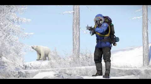 Arctic pack