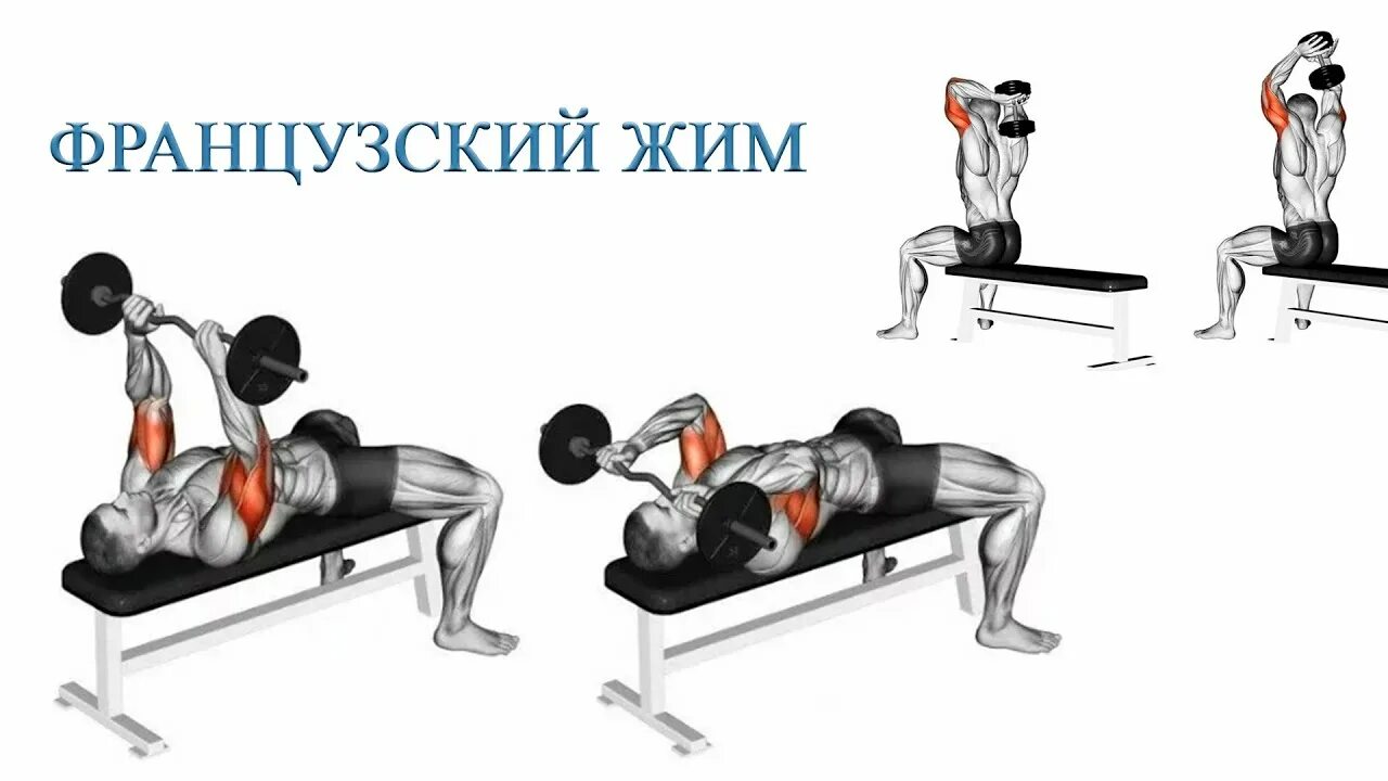 Французский жим со штангой техника. Французский жим лежа со штангой техника. Французский жим лежа с ez-грифом. Французский жим лежа со штангой на трицепс. Французский жим лежа 3х12.
