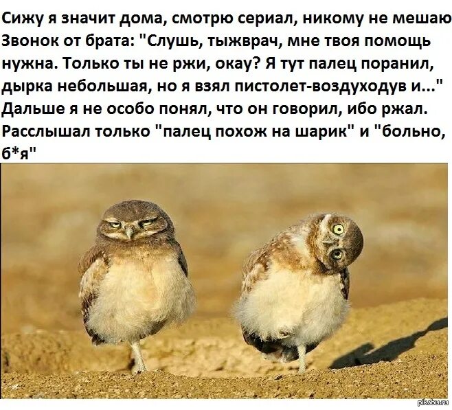 Я и мой брат дебил. Я и мой брат. Киану ривз а что если. Если мой брат. Если брат.
