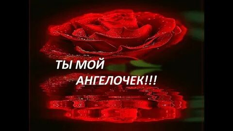 Видео с пожеланиями любимой