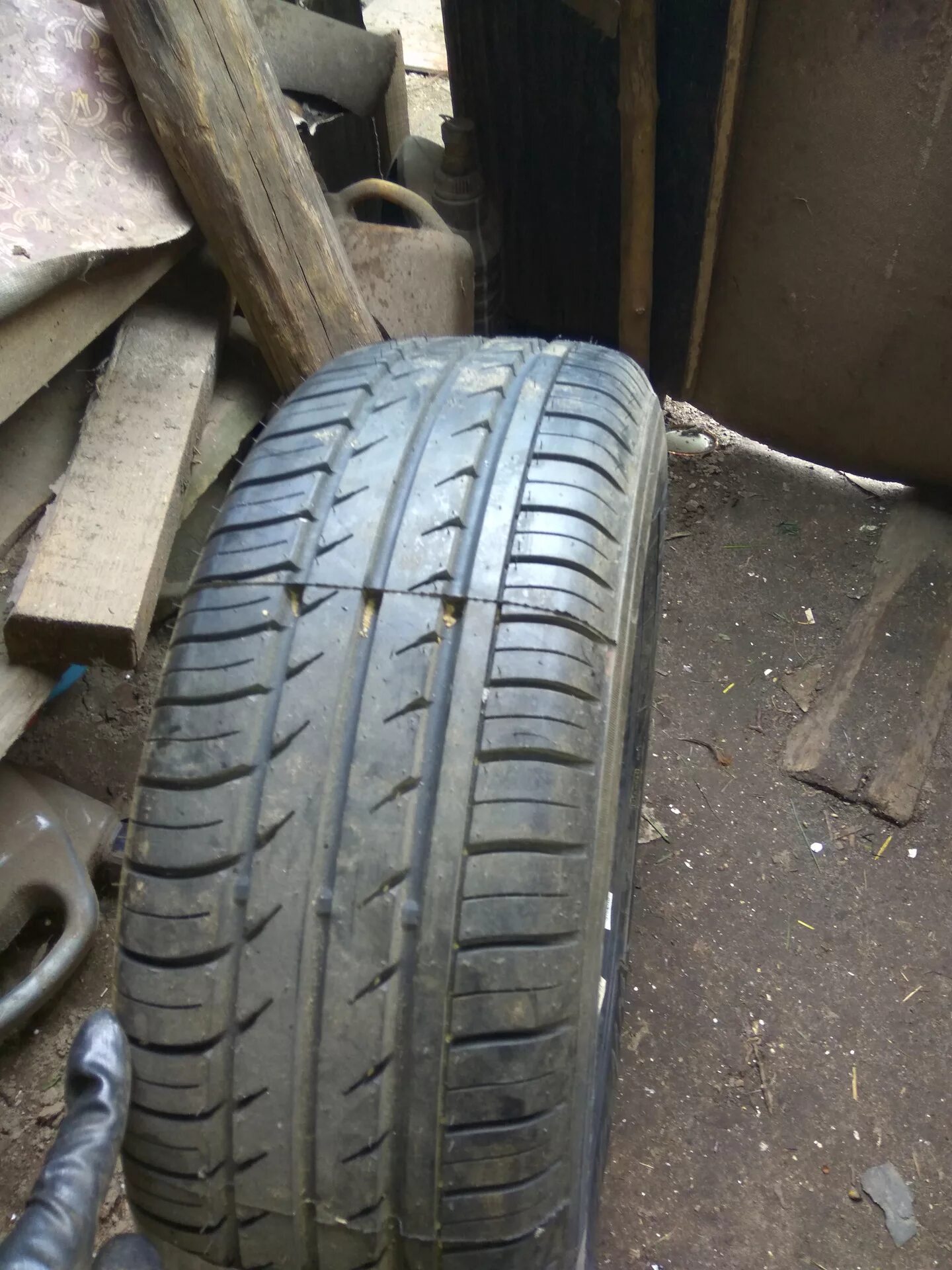 Шины artmotion отзывы. Белшина Artmotion 195/60 r15. Белшина Artmotion бел-281 195/60 r15 88h. Белшина 195 60 r15. Белшина Artmotion Spike.