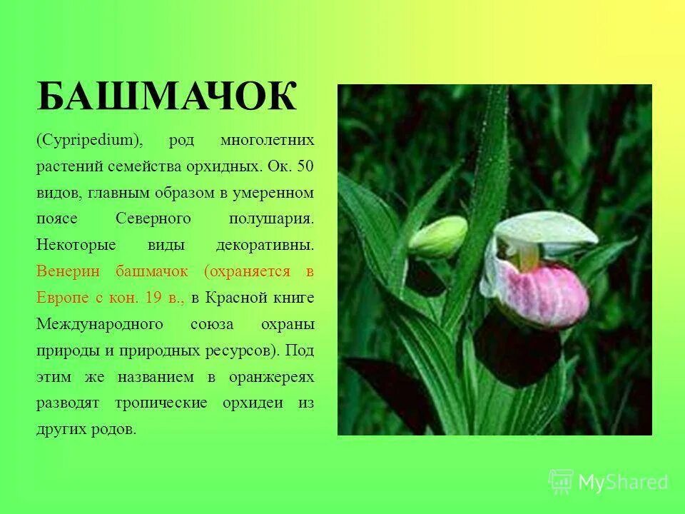 Описание под названием