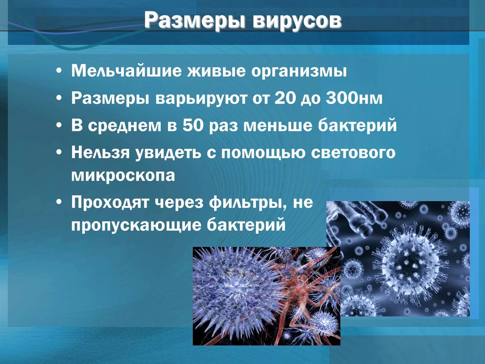 Вирусов в природе и жизни человека. Вирусы презентация. Презентация на тему вирусы по биологии. Факты о вирусах биология. Проект про вирусы.