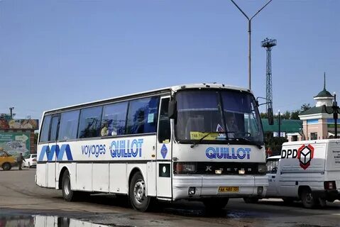 Автобус поспелиха