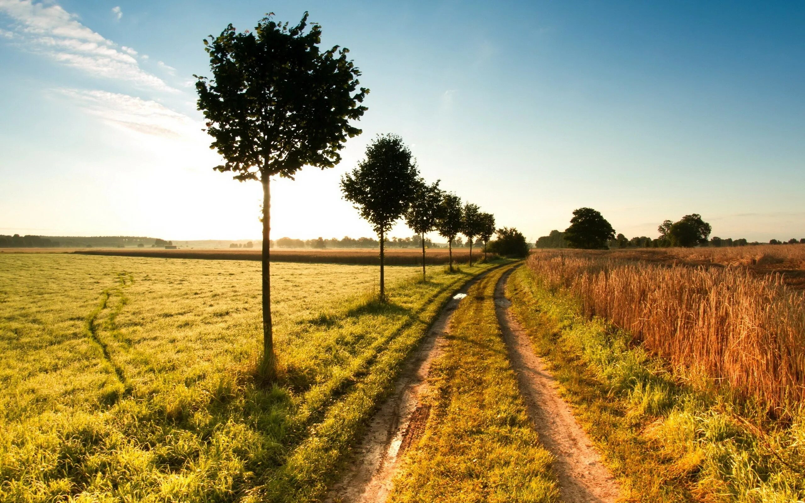 Пейзаж горизонт. Линия горизонта поле. Линия горизонта в поле. Фон поле. Линия горизонта в поле.