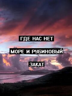 Топ цитаты