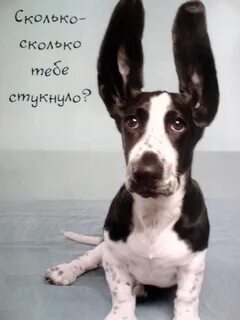 Сколько бы не стукнуло отбивайся