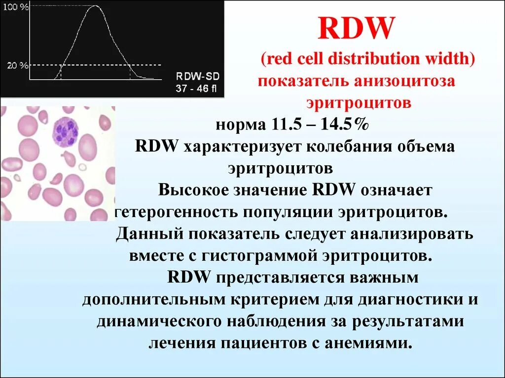 Rdw в анализе повышена. Red Cell distribution width в анализе крови. RDW В анализе крови. RDW-CV В анализе крови что это такое. RDW повышен.