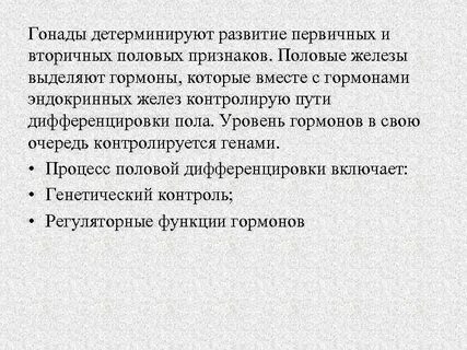 Вторичная половая система