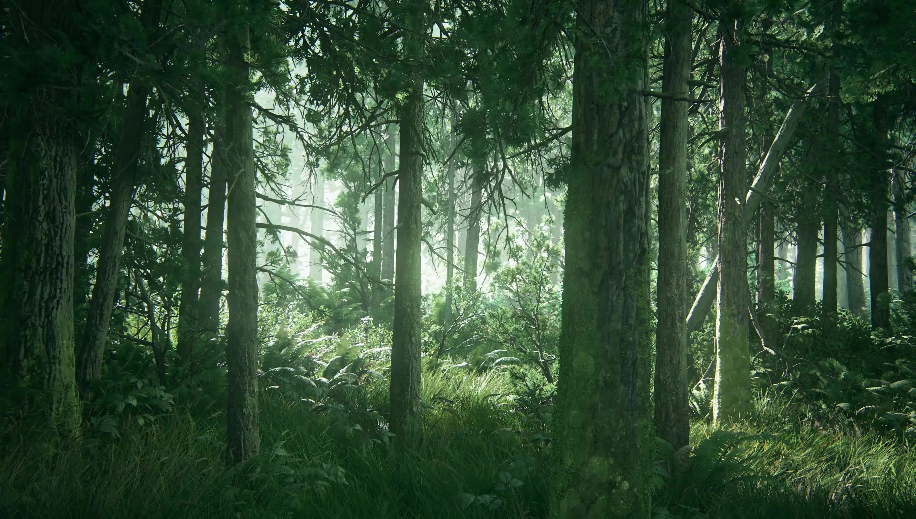 Source forest