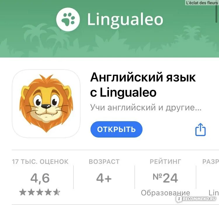 Lingualeo. Lingualeo лого. Lingualeo приложение. Lingualeo приложение. Lingualeo английский.