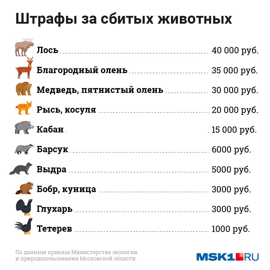 Штрафы за сбитых животных. Штраф за сбитого животного. Таблица штрафов за сбитие животных. Штрафы за сбитых животных 2021.