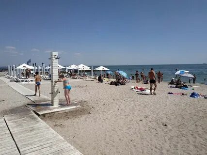 Пляж дельфин отзывы
