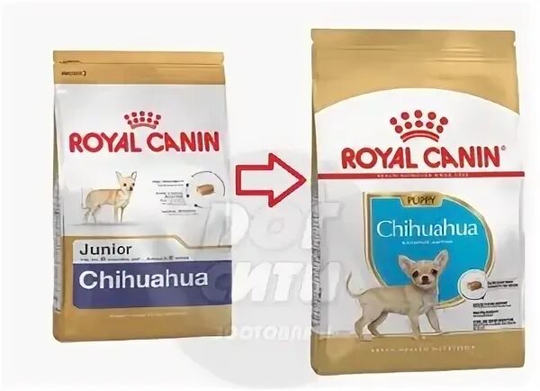 Роял для чихуахуа
