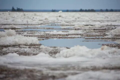 Когда река лена замерзает разливается мелеет
