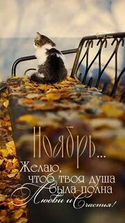 Не осень в нашей грусти виновата