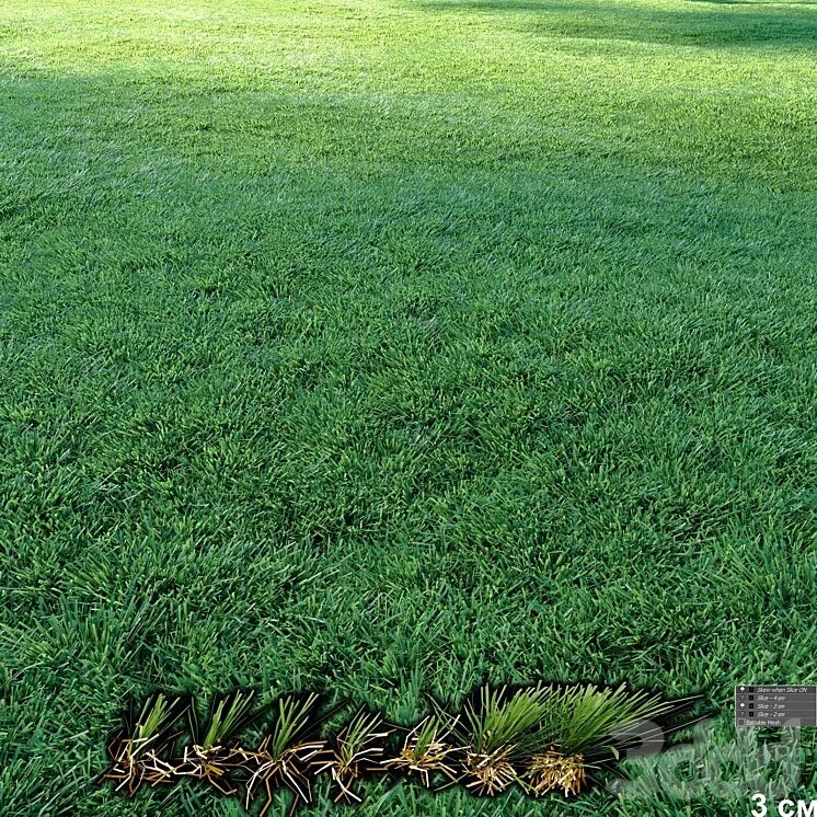 Трава подстрижена жареный. Искусственный газон вид сверху. Монинг глори. Режущая трава. Стриженная трава.