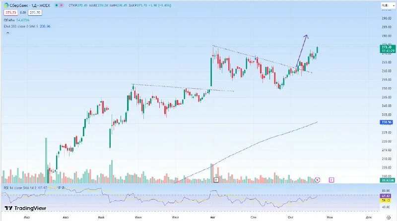 солнечный максимум 2023 что будет