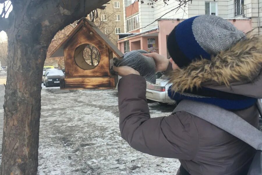 волонтеры кормушки для птиц. птичий приют. заводдскова мария николаевна. руза волонтеры. волонтерство спасение животных.