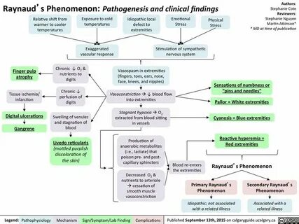 Causes of the phenomenon