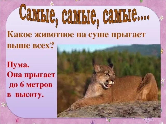 Какой то зверь одним прыжком из чащи