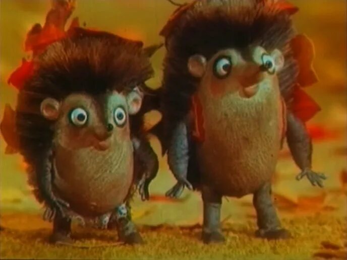 кудрявый ежик. ежик с кудряшками. кудрявый еж. ежик должен быть колючим. ежик должен.