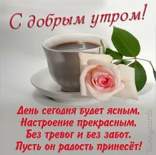 Зарядись позитивом на весь день