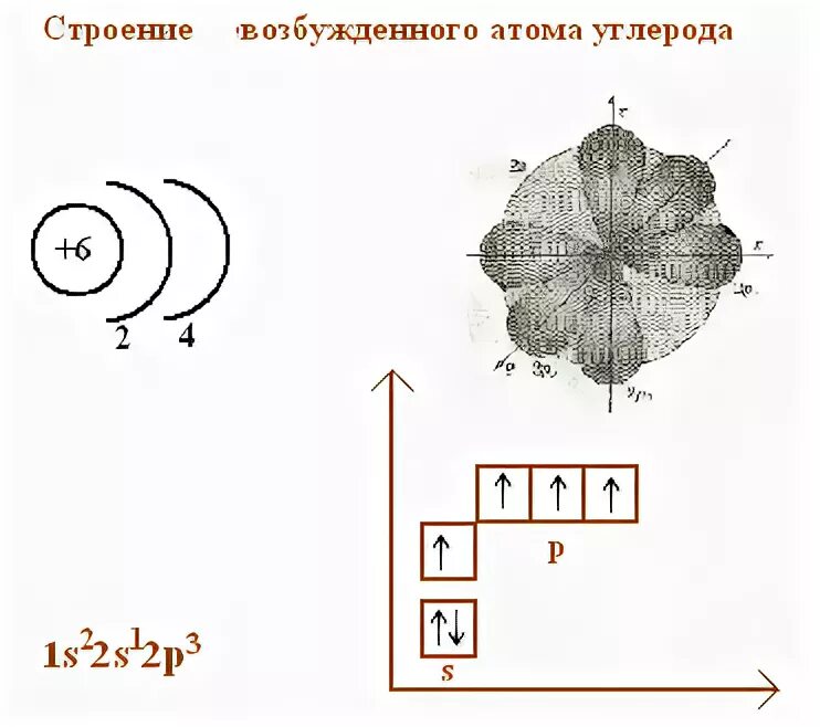 Изобразите схему строения атома углерода. Схема строения электронной оболочки атома углерода. строение электронной оболочки углерода. схема строения углерода. электронная схема углерода.