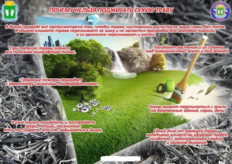 почему нельзя зажигать. почему нельзя зажигать. безопасное проведение на природе. почему нельзя жечь сухую траву. почему нельзя зажигать.