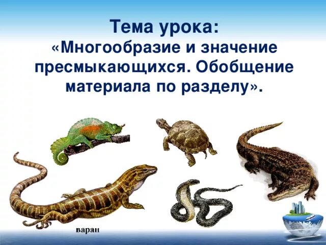 Многообразие и значение пресмыкающихся. Пресмыкающиеся в жизни человека. роль пресмыкающихся. занятие по теме пресмыкающиеся. роль рептилий в природе.