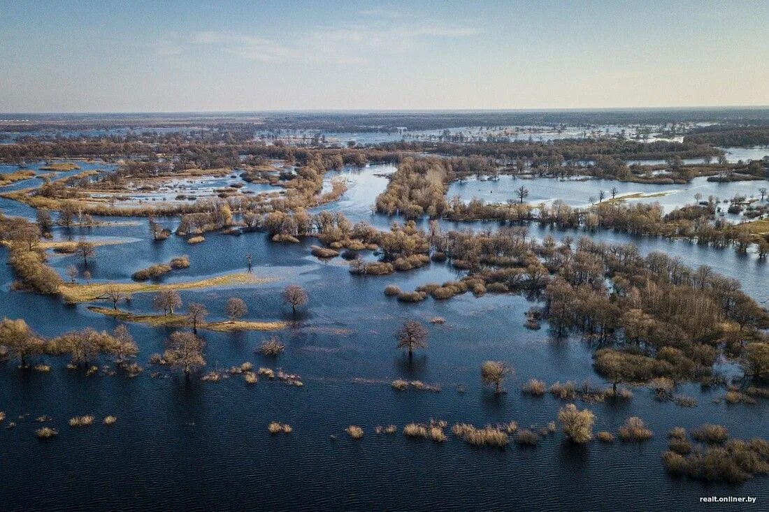 Припять паводок. Река припять в беларуси. река припять фото. днепр, припять, неман.. левый берег реки припять.