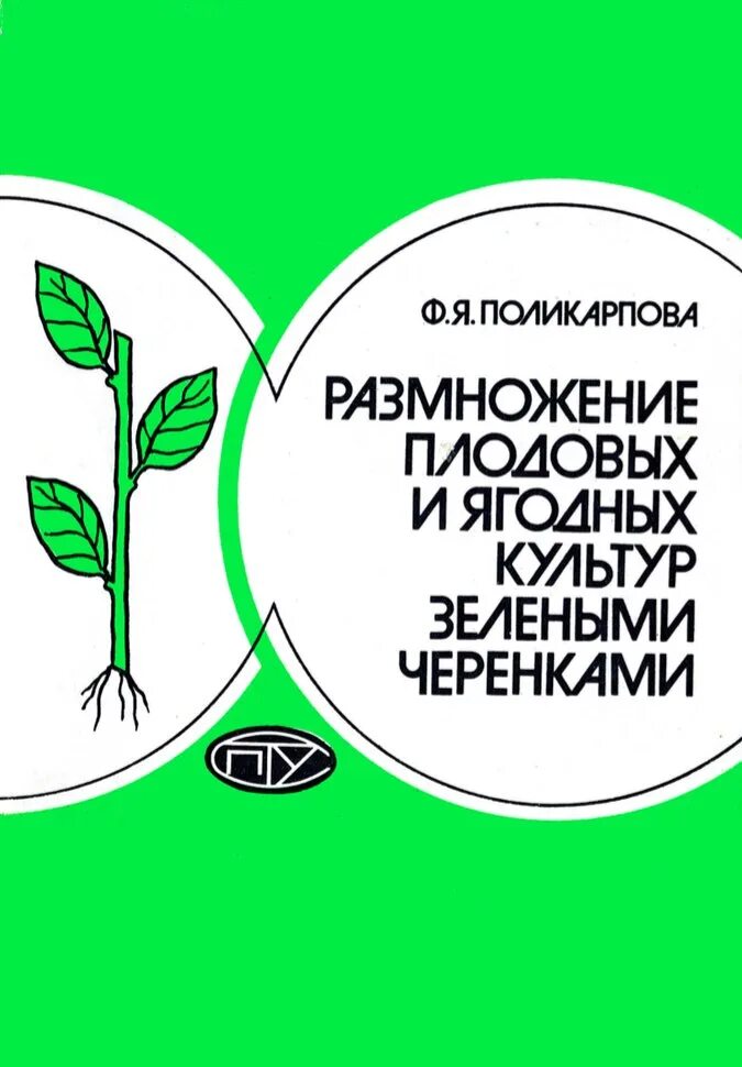 Размножение плодовых культур. Размножение плодовых и ягодных растений. Кизильник блестящий размножение отводками. Схема размножения одревесневшими черенками. Размножение растений одревесневшими черенками.