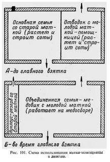 Инструкция маток