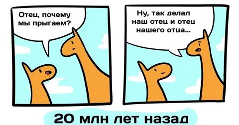 Почему прыгает глаз