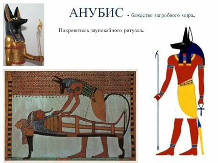 Анубис 5 класс кратко